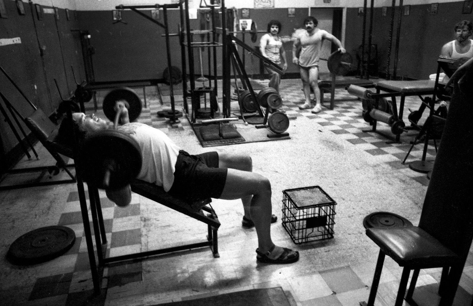 Arnold Schwarzenegger